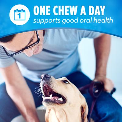 Show full view: DentaLife Daily Oral Care Chicken Flavor Large Adult Dental Dog Treats, 30 count pouch slide 8 of 10