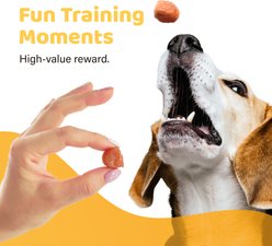iPaw Turkey Tots Gluten-Free Adult Soft & Chew Dog Treats, 3.53-oz bag slide 2 of 9