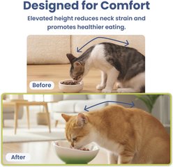 PawsPik Strawberry Blooms Elevated Ceramic Cat Bowl, Green slide 2 of 9