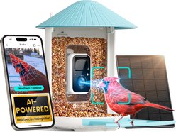 Birdfy Smart Bird Feeder Camera Solar Panel & AI Lifetime Free, Blue, 1.5L