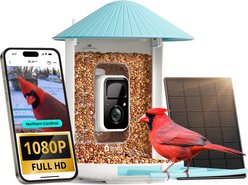 Birdfy Smart Bird Feeder Camera Solar Powered & AI Recognition, Blue, 1.5L