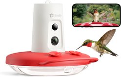 Birdfy Humming Bird Feeder with Camera Motion Detection, Red