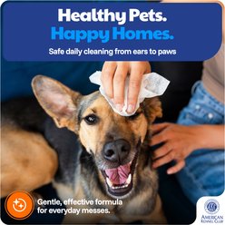 American Kennel Club Coconut Scented Dog Cleansing Wipes, 200 count slide 2 of 5