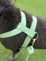 Pistachio Brands Vegan Faux Leather Dog Harness, Pistachio, X-Small slide 2 of 4
