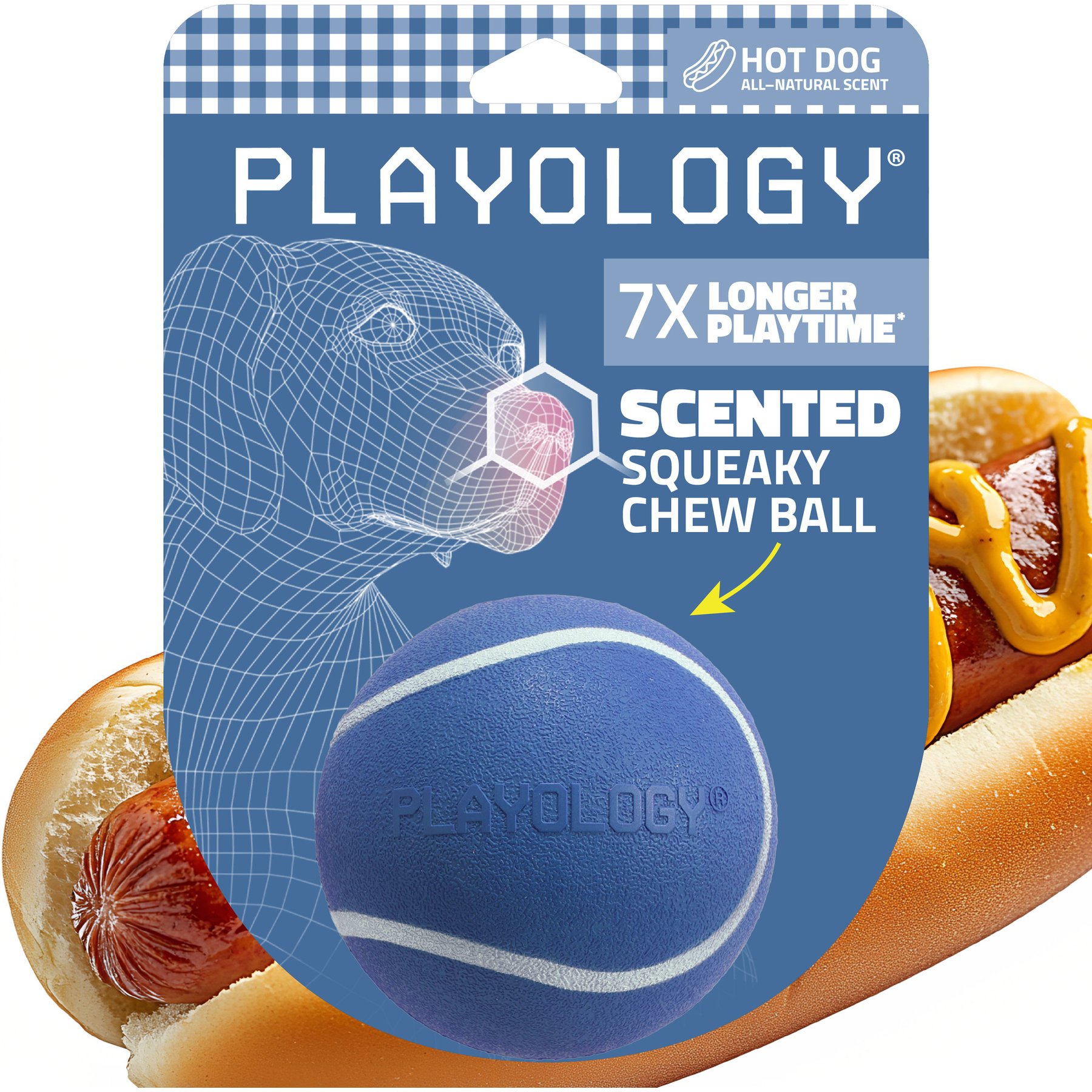 Playology Squeaky Chew Ball Hot Dog Scented Dog Toy, Blue, Medium