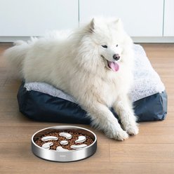 Feedoo Double-Wall Non-Skid Stainless Steel Slow Feeder Dog Bowl, Silver, Large: 3-cup slide 2 of 8