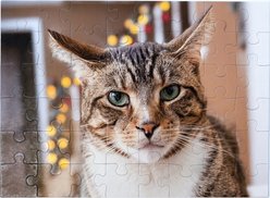 Aether Puzzles Personalized 48 Piece Puzzle