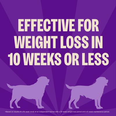 Show full view: Wellness CORE Grain-Free Healthy Weight Turkey & Chicken Dry Dog Food, 26-lb bag slide 4 of 13