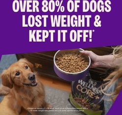 Wellness CORE Grain-Free Healthy Weight Turkey & Chicken Dry Dog Food, 4-lb bag slide 2 of 8