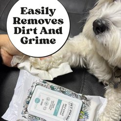 Pet-Pourri Pawsitively Fresh Dog Wipes, White, 50 count slide 2 of 4