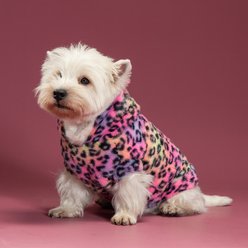 Pebot Leo Faux Fur Dog & Cat Hooded Vest, Rainbow Leopard, 12 slide 2 of 6