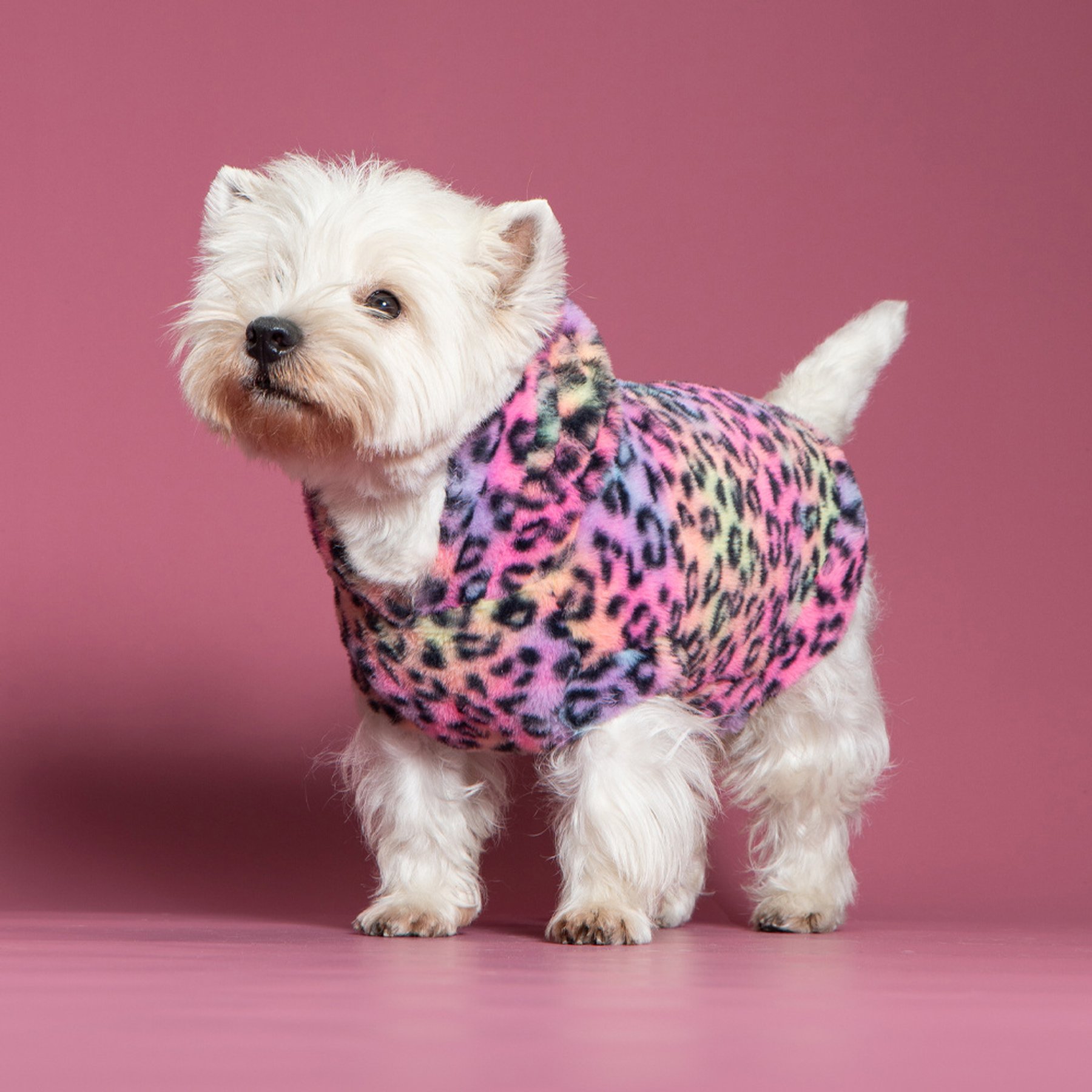 Pebot Leo Faux Fur Dog & Cat Hooded Vest, Rainbow Leopard, 16