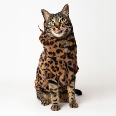 Show full view: Pebot Leo Faux Fur Dog & Cat Hooded Vest, Brown Leopard, 12 slide 4 of 6