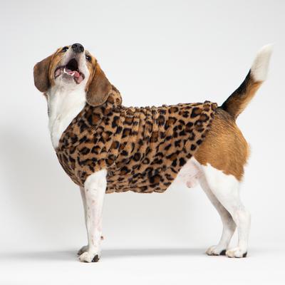 Show full view: Pebot Leo Faux Fur Dog & Cat Hooded Vest, Brown Leopard, 12 slide 3 of 6