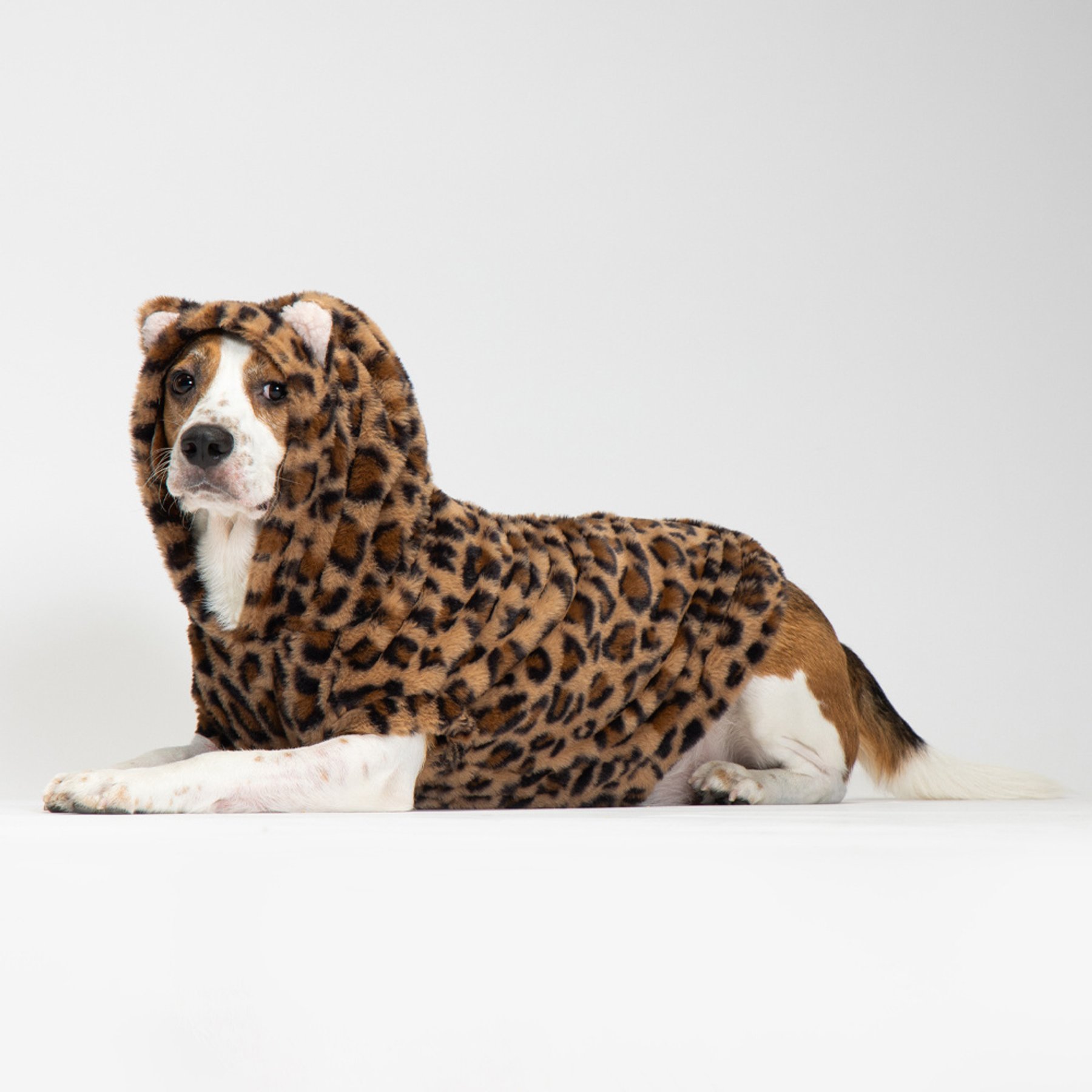 Pebot Leo Faux Fur Dog & Cat Hooded Vest, Brown Leopard, 10
