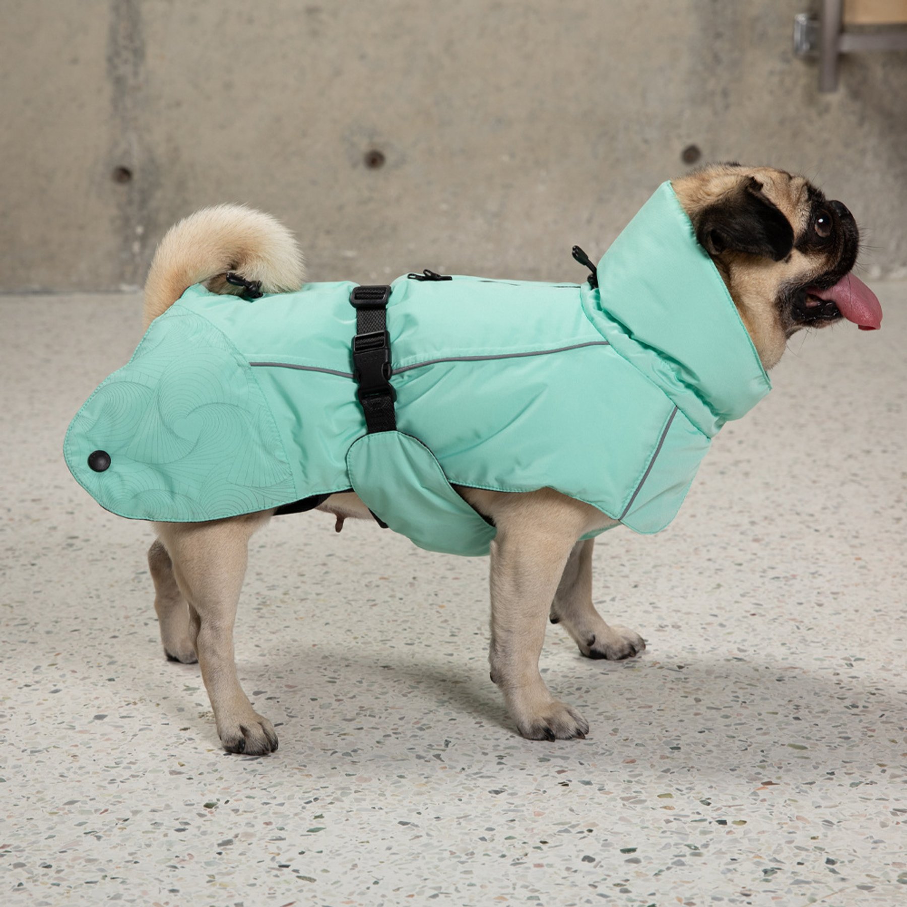 Pebot Anna 3M Thinsulate Dog & Cat Winter Vest, Mint, 8