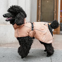 Pebot Anna 3M Thinsulate Dog & Cat Winter Vest, Tan, 8