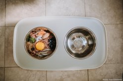 Messy Mutts Elevated Stainless Steel Double Feeder Dog Bowls, Light Grey, 19 x 11 x 10-in slide 2 of 7