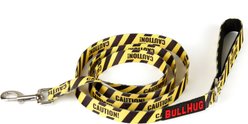 BullHug Padded Nylon Dog Leash, Small: 6-ft long, 1-in wide, Caution