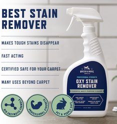Rocco & Roxie Supply Co. Oxy Stain Remover Powerful Multi-Purpose Cleaner, 32-fl oz bottle slide 2 of 6