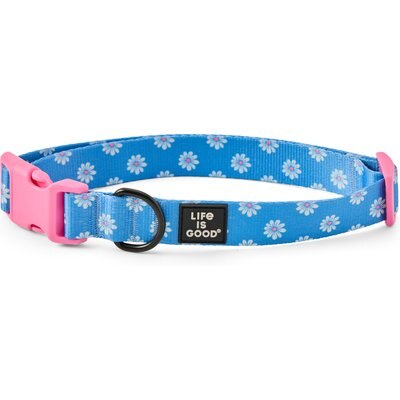 LIFE IS GOOD LIFE IS GOOD All Over Daisy Dog Collar, Athletic Blue, Small: 10 to 14-in neck, 1-in wide