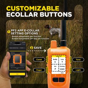 Dogtra Pathfinder 2 Mini Compass Dog Collar,Orange, One Size