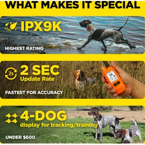 Dogtra Pathfinder 2 Mini Compass Dog Collar,Orange, One Size