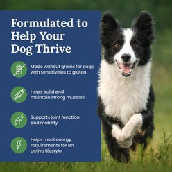 Blue Buffalo Life Protection Formula Natural Grain-Free Lamb & Potatoes Dry Dog Food, 4-lb bag slide 2 of 9