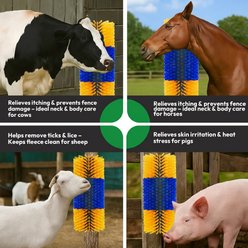 ONIZOOMI Livestock Farm Animal Scratching Brush, Medium, 2 count slide 2 of 7