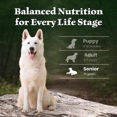 Show full view: Blue Buffalo Wilderness 31-g Protein Lamb Meat Rich Natural Dry Senior Dog Food, 24-lb bag slide 9 of 10