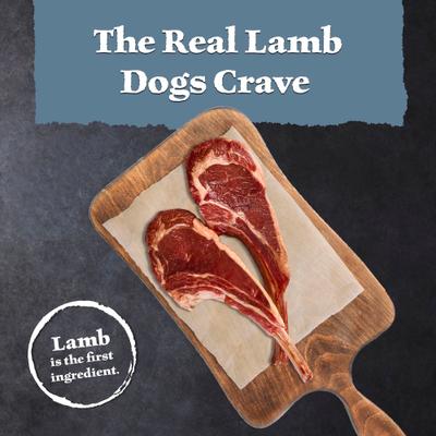 Show full view: Blue Buffalo Wilderness 31-g Protein Lamb Meat Rich Natural Dry Senior Dog Food, 24-lb bag slide 4 of 10