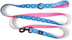 LIFE IS GOOD All Over Daisy Dog Leash, Athletic Blue, 6-ft long, 1-in wide