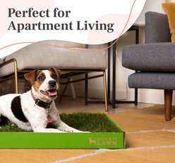 DoggieLawn Natural Real Grass Dog Pee Pad, X-Large: 24 x 48-in slide 2 of 7