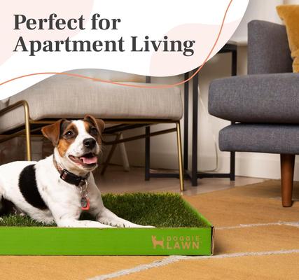 Show full view: DoggieLawn Natural Real Grass Dog Pee Pad, X-Large: 24 x 48-in slide 6 of 7