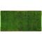 Show in main carousel: DoggieLawn Natural Real Grass Dog Pee Pad, X-Large: 24 x 48-in slide 7 of 7