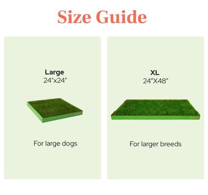 Show full view: DoggieLawn Natural Real Grass Dog Pee Pad, X-Large: 24 x 48-in slide 5 of 7