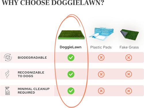 Show full view: DoggieLawn Natural Real Grass Dog Pee Pad, X-Large: 24 x 48-in slide 3 of 7