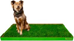 DoggieLawn Natural Real Grass Dog Pee Pad, X-Large: 24 x 48-in