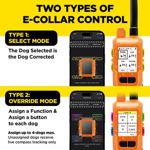 Dogtra Pathfinder 2 Mini Compass Dog Collar,Orange, One Size