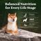 Show in main carousel: Blue Buffalo Wilderness 38-g Protein Lamb Meat Rich Natural Adult Dry Dog Food, 24-lb bag slide 9 of 10