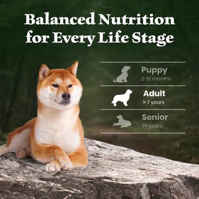 Show full view: Blue Buffalo Wilderness 38-g Protein Lamb Meat Rich Natural Adult Dry Dog Food, 24-lb bag slide 9 of 10