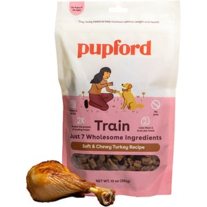 OUTWARD HOUND Nina Ottosson by Puzzle Bitez Pumpkin Flavored Dog