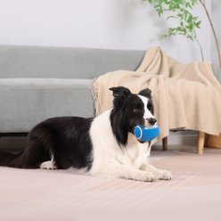 Critta Fitta Latex Squeaky Smiley Face Football Dog Toy, Blue, 4.5 × 3.2 x 3.2-in slide 2 of 9