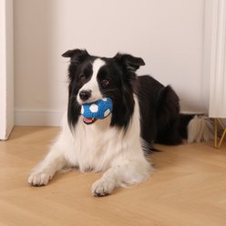 Critta Fitta Latex Squeaky Soccer Ball Dog Toy, Blue, 3.5 x 3.5 x 3.5-in slide 2 of 7