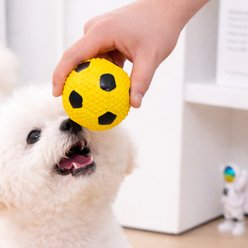 Critta Fitta Latex Squeaky Soccer Ball Dog Toy, Yellow, 3 x 3 x 3-in slide 2 of 9