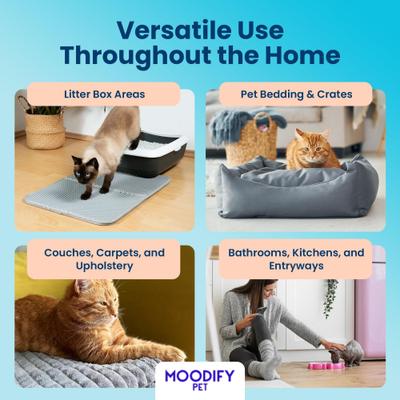 Show full view: MoodifyPet Cat Litter Box Odor Neutralizer, 1.58-oz slide 8 of 9