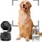 Show in main carousel: Siipet Smart 4K Gimbal Pawtrack Dog Camera, Black slide 1 of 9