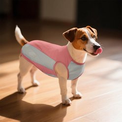 Kuoser Summer Protection Personalized Dog Shirt, Pink, XXX-Large slide 2 of 7