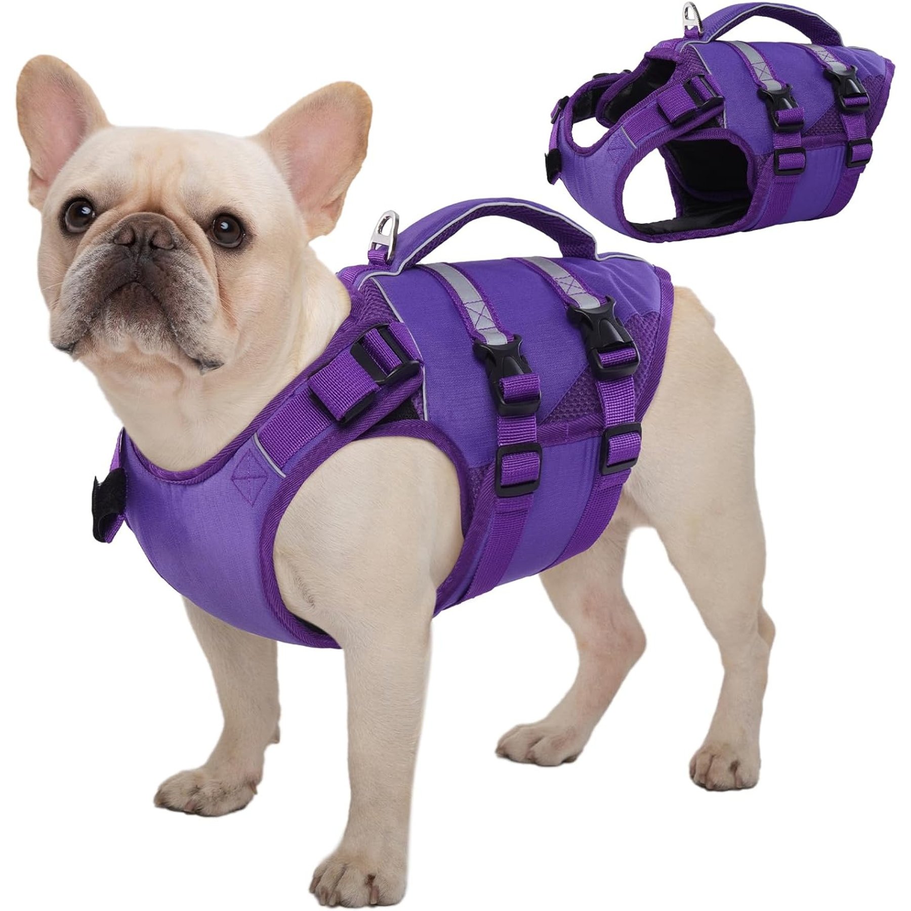 Kuoser Dog Life Jacket, Purple, Medium