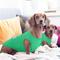 Show in main carousel: Kuoser Summer Protection Personalized Stretchable Dog Shirt, Fluorescent Green, Small slide 7 of 7